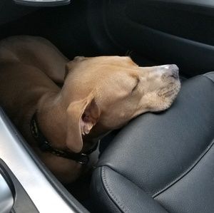 Meet your Posher, Staci